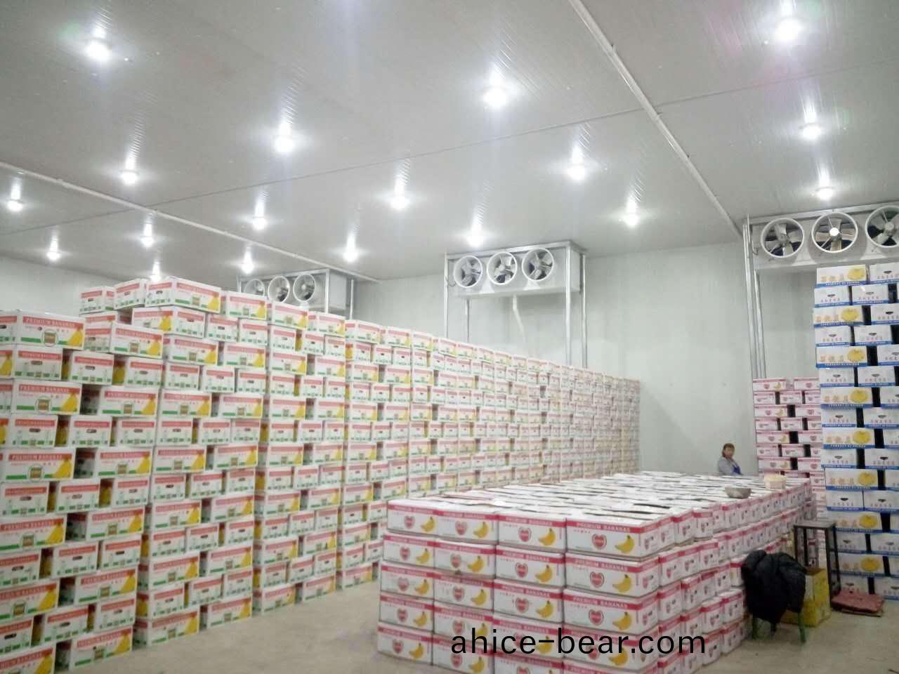廣(guang)州百(bai)菓(guo)園(yuan)冷庫(ku)項目(mu)