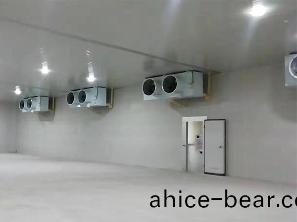 冷(leng)庫風機(ji)